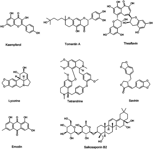 FIGURE 1