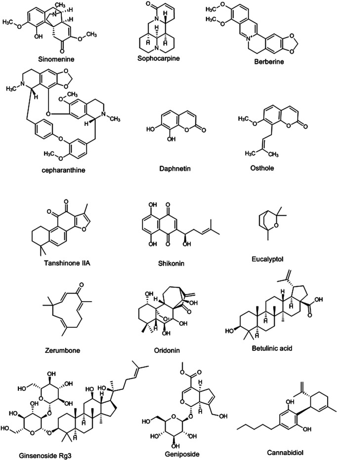 FIGURE 3