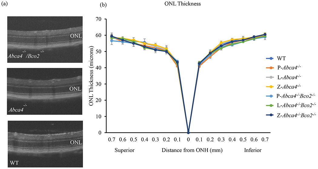 Figure 9.