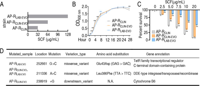 FIG 1