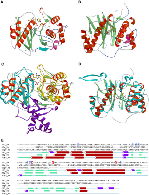 Figure 2