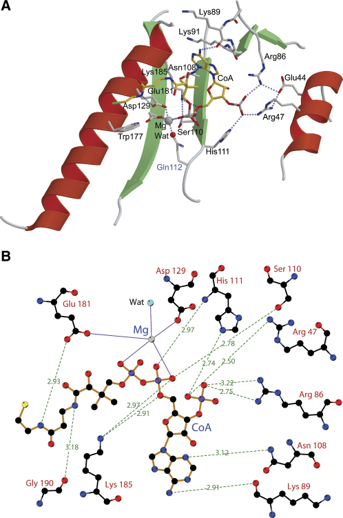 Figure 4