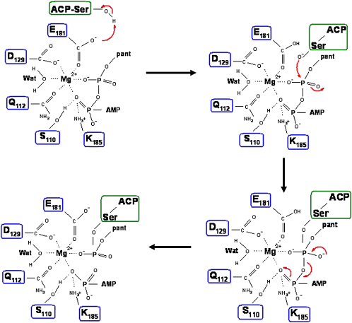 Figure 5