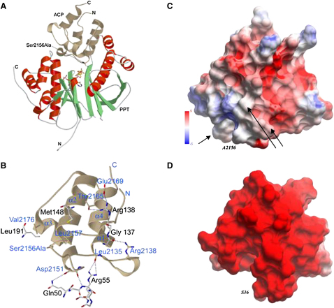 Figure 3