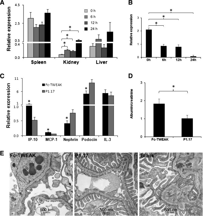 Figure 11.