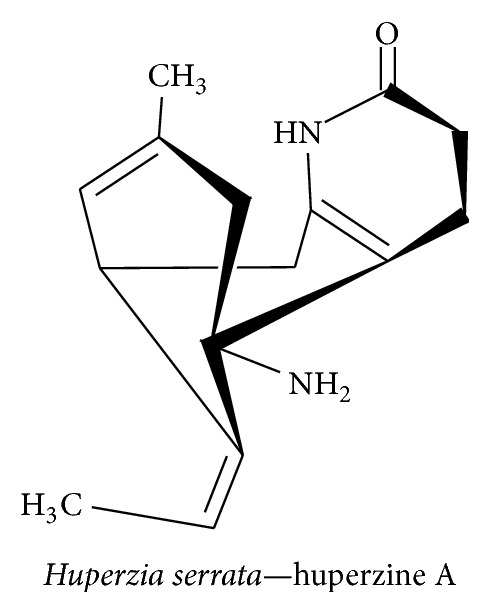 Figure 19