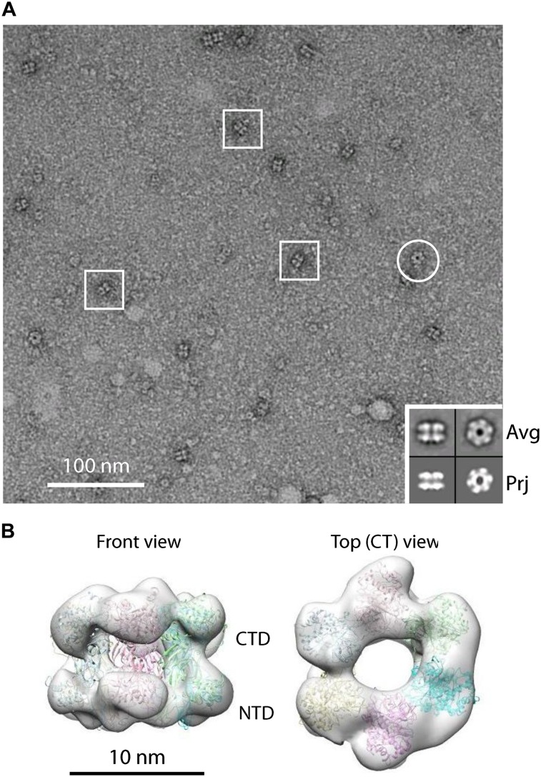 Figure 1.