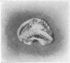 340-1