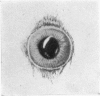 340-1