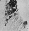 340-1