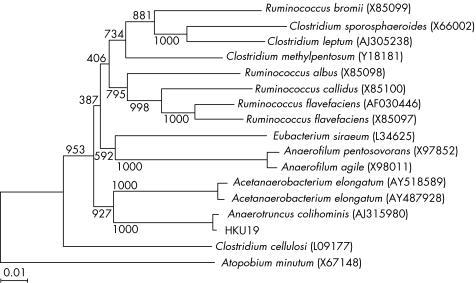 graphic file with name cp31773.f2.jpg