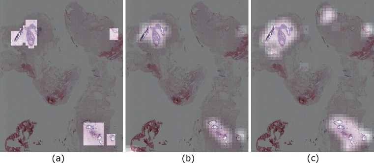 Fig. 9