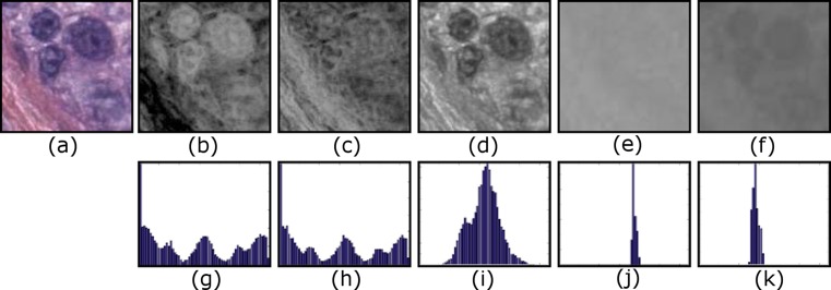 Fig. 2