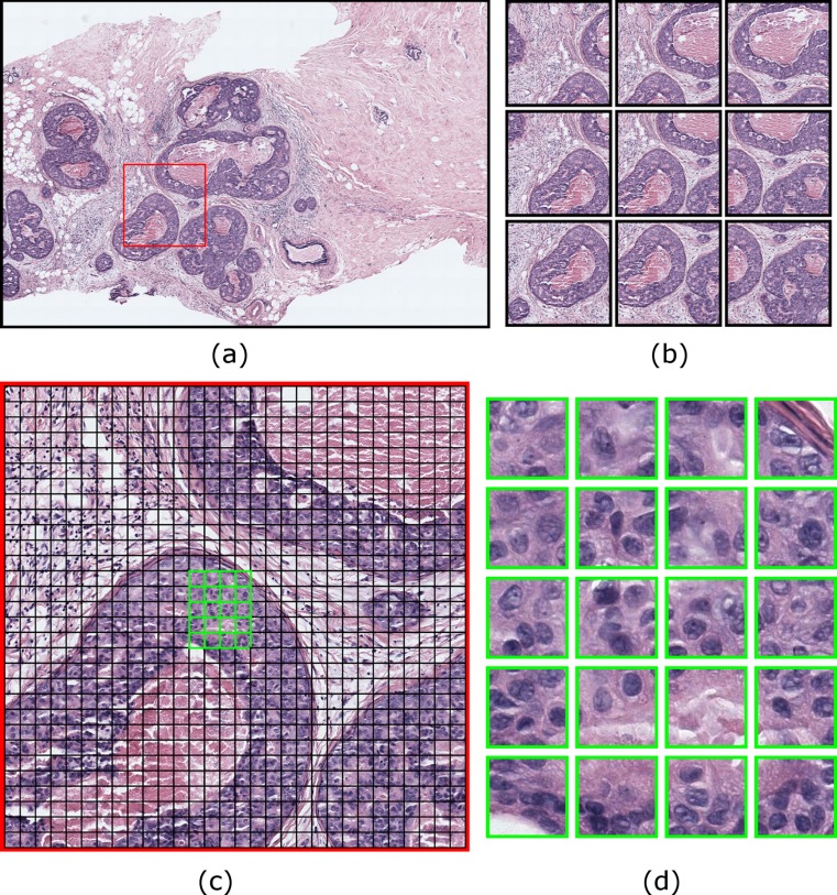 Fig. 4