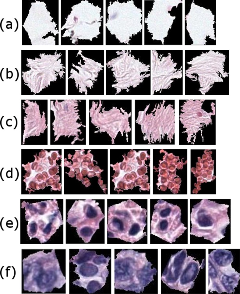 Fig. 6