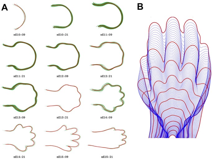 Fig. 1.