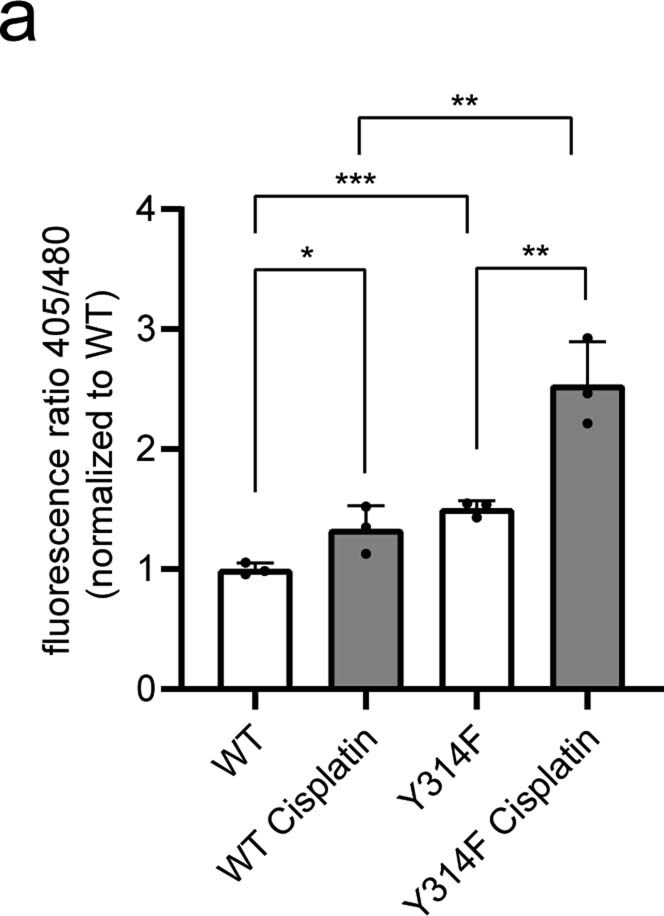 Extended Data Fig. 5