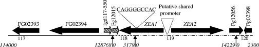 FIG. 1.