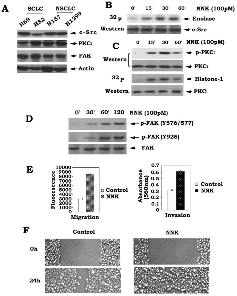 Fig.1