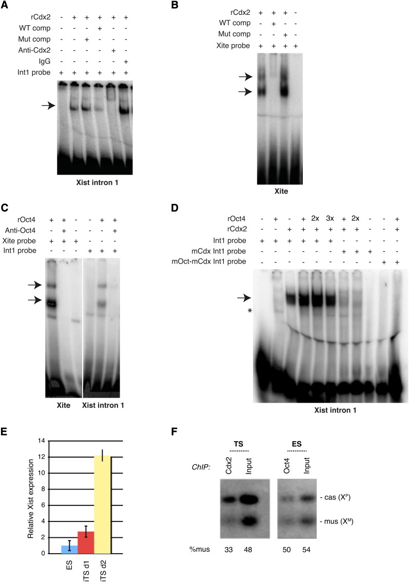 Figure 4 