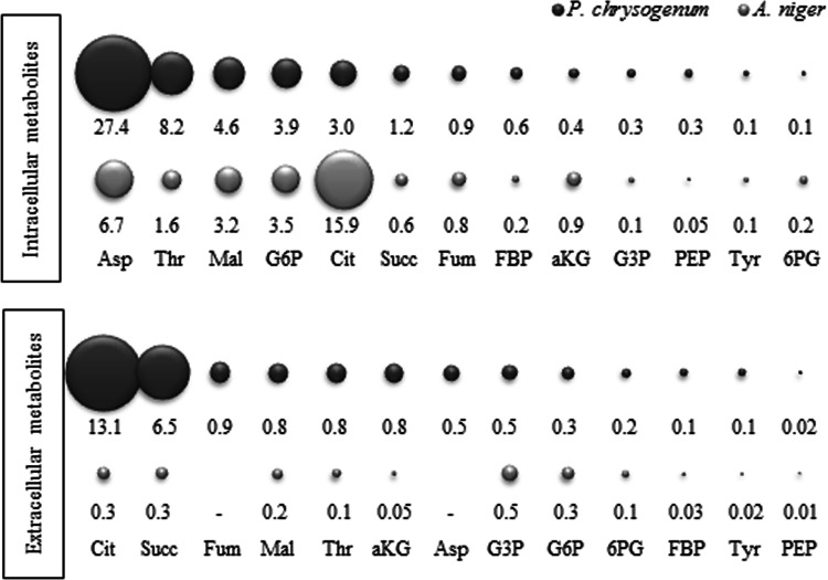 Fig. 4