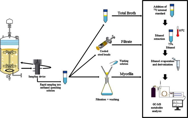 Fig. 2