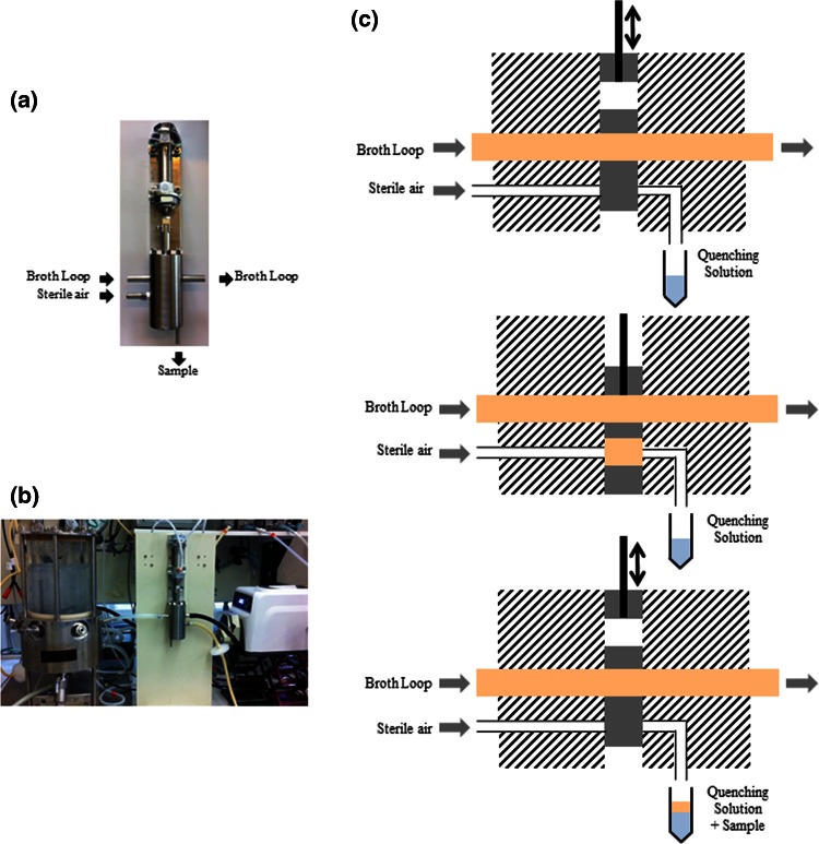 Fig. 1