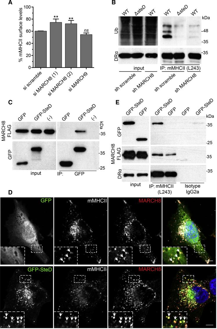 Figure 4