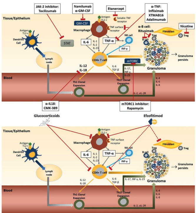 Figure 10.