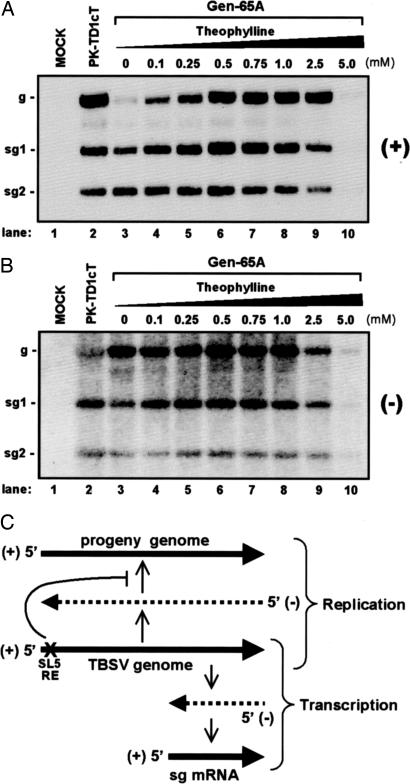 Fig. 5.