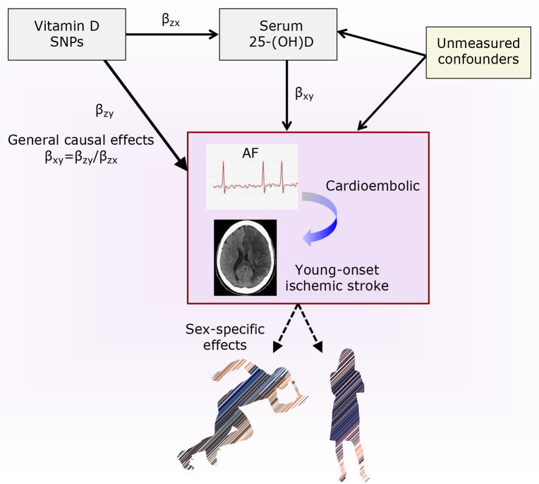 Fig. 2.