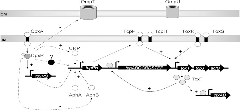 FIG 8