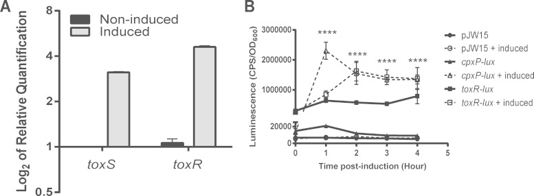 FIG 1