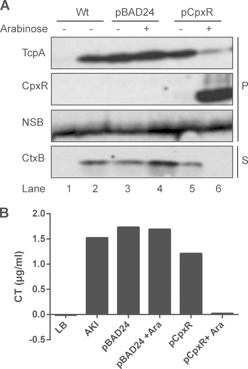 FIG 3