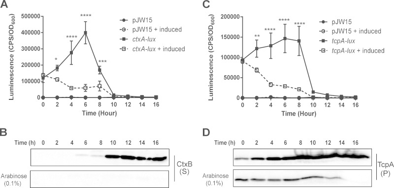 FIG 4