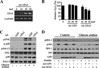 FIG. 6.