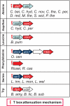 FIG. 10.