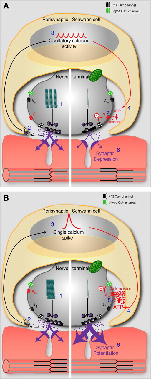 Figure 10.