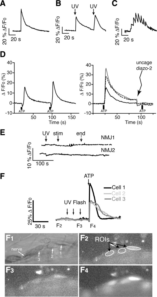 Figure 3.