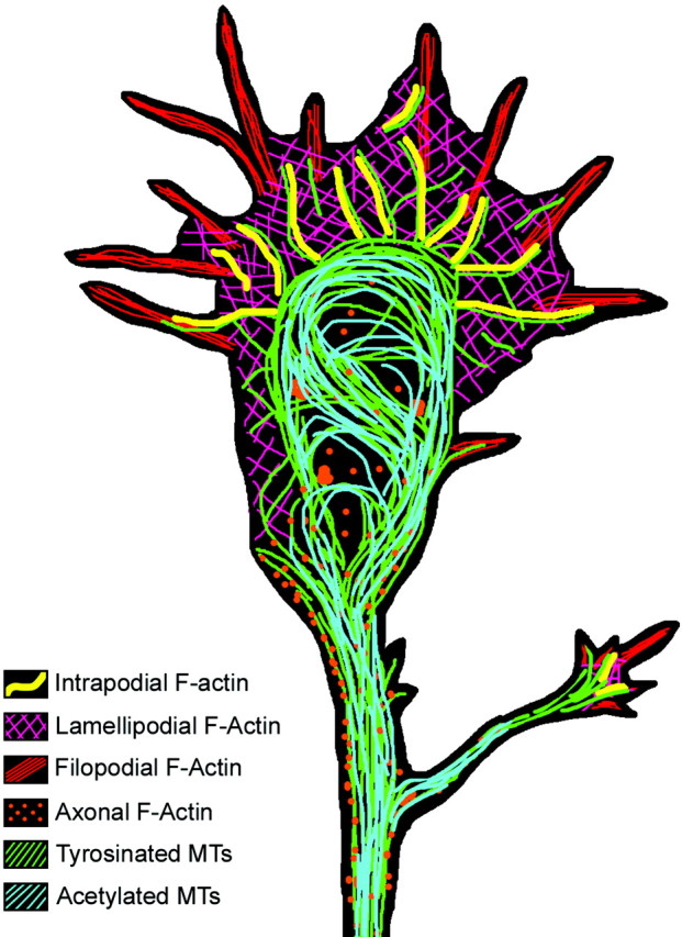 Fig. 9.