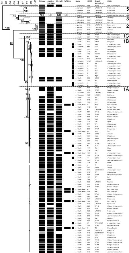 FIG. 1.