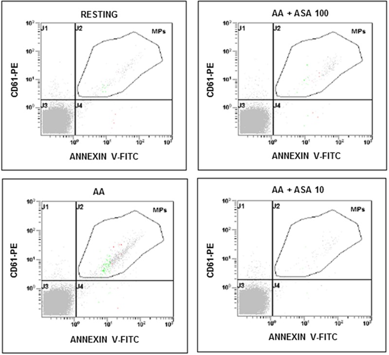 FIGURE 1