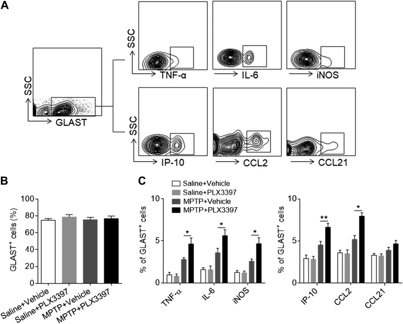 Figure 6.