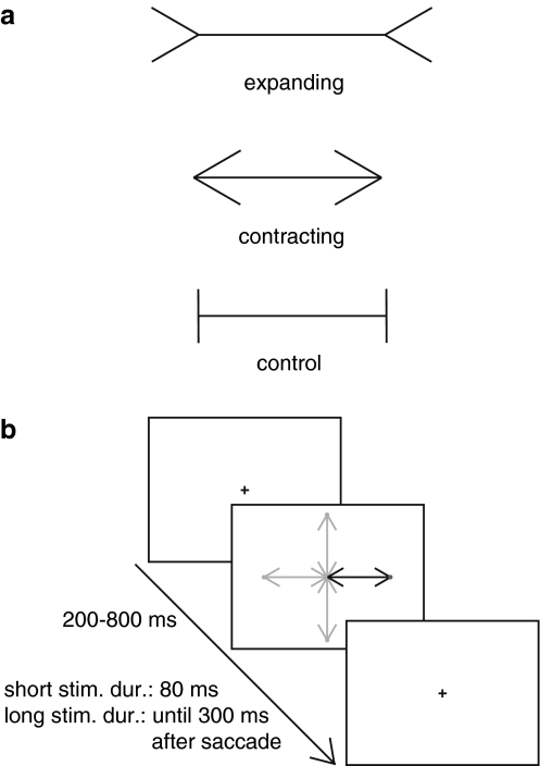 Fig. 1