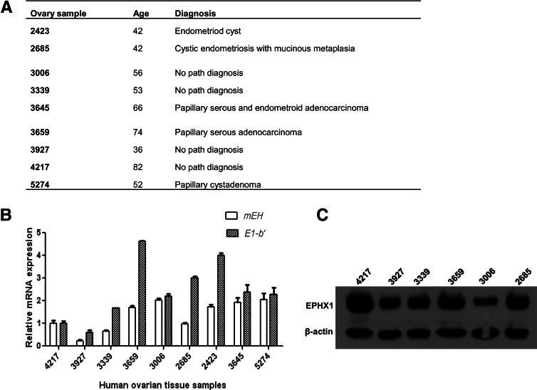 FIGURE 10.