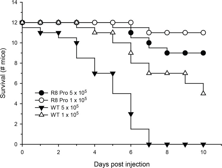 Fig 7