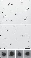 Fig. 3