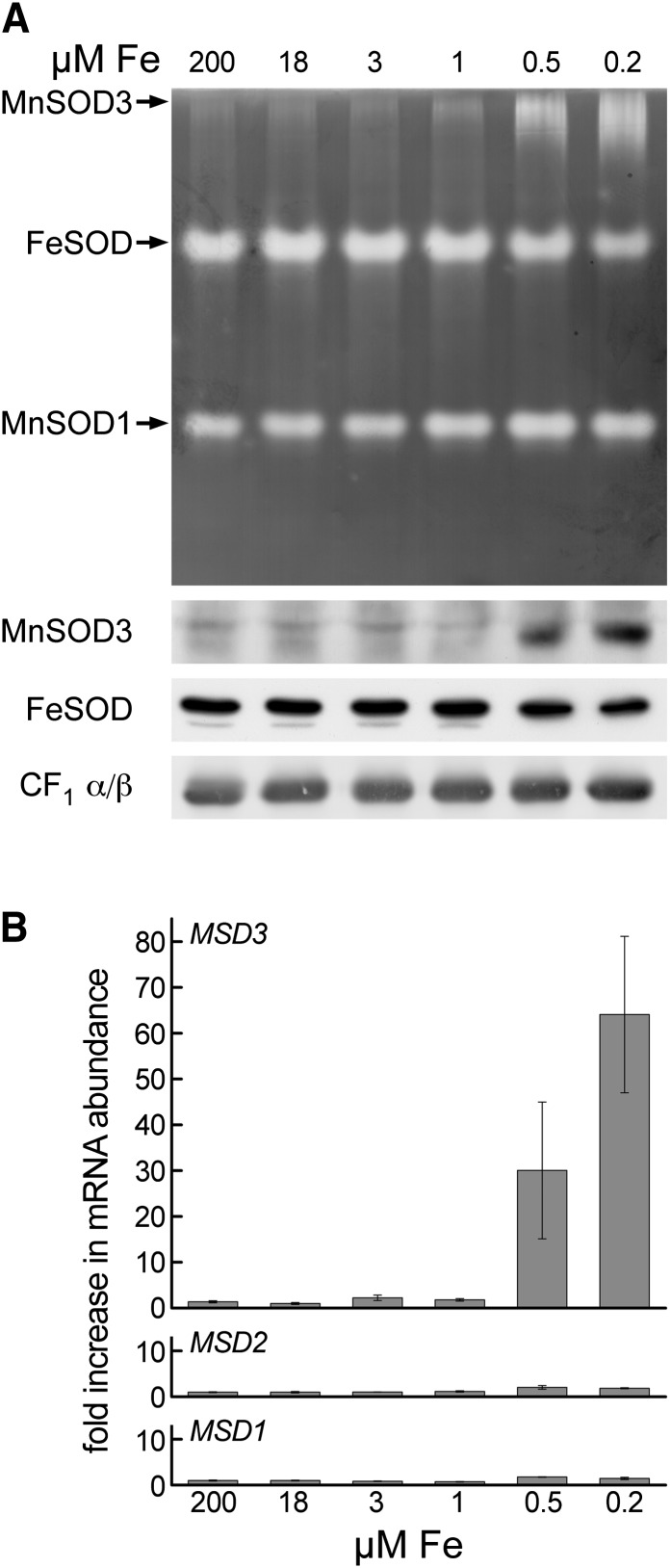 Figure 3.