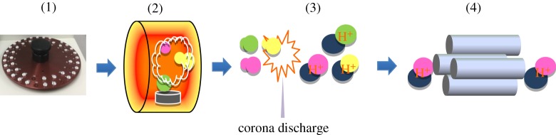 Figure 1.