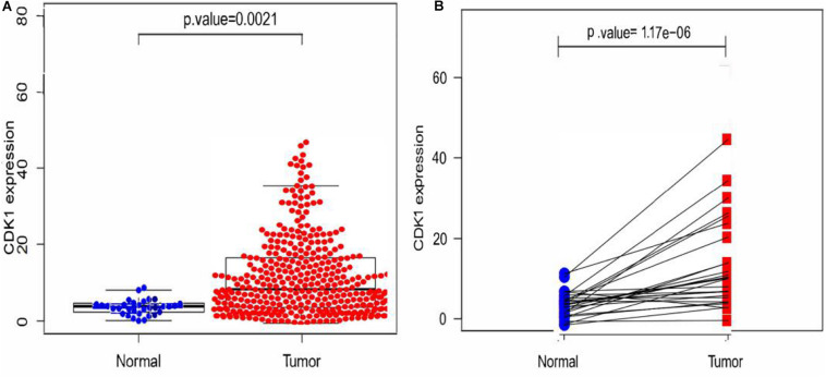 FIGURE 2